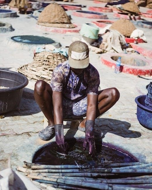 caap 2 scoring manual pdf